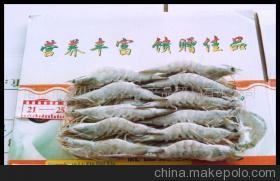 【南美對(duì)蝦(圖)】價(jià)格,廠家,圖片,蝦類,湛江市霞山區(qū)鑫昌水產(chǎn)品貿(mào)易-