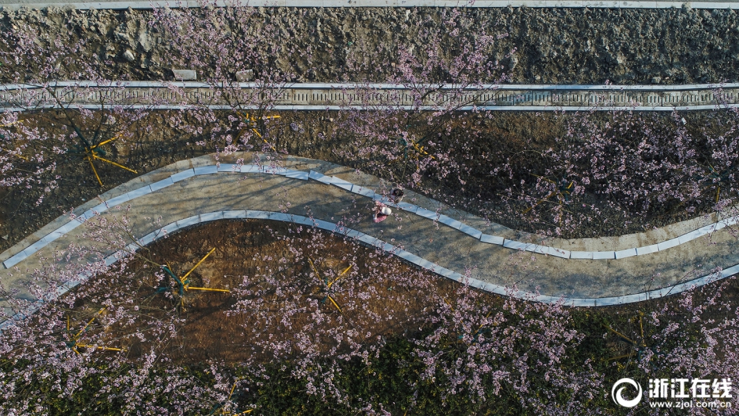 傲融軟件：一體化協(xié)同管理軟件的信息化變革
