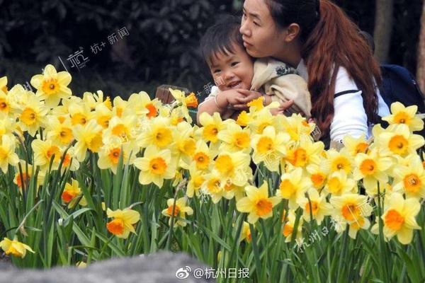 “五個升級”強電網(wǎng)！江蘇南京供電公司持續(xù)提升配網(wǎng)供電可靠性