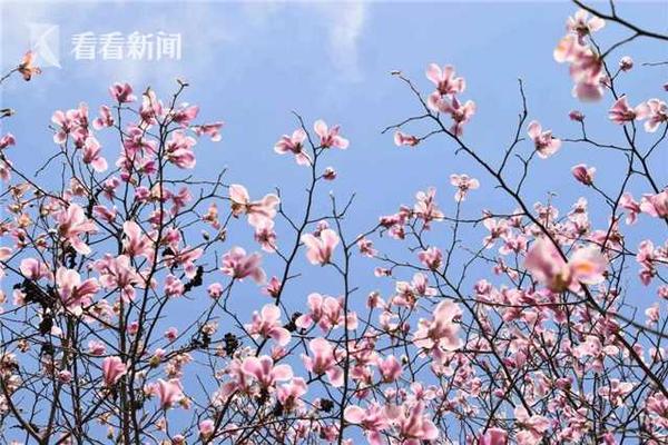 專家教你高考怎么報志愿