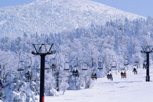 廣西發布2017年月度電力市場化交易時間安排的通知