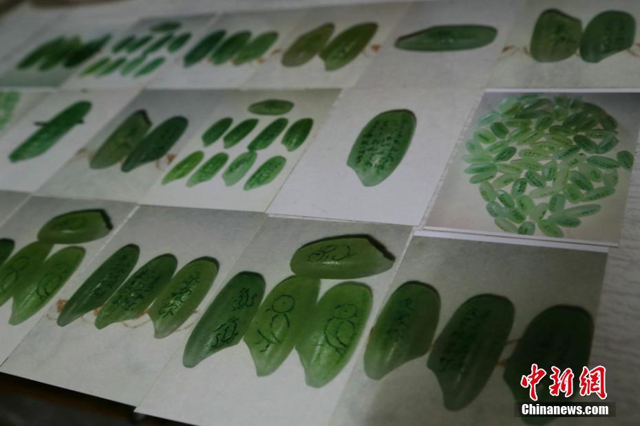 山東：電力大數據賦能工業高質量發展