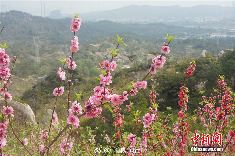 “氣墩墩”上線！我國自主設計建造的4座22萬方LNG儲罐施工完成