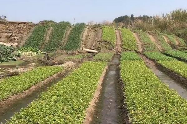 國家礦山安全監察局第一批擬掛牌組建重點實驗室公示名單