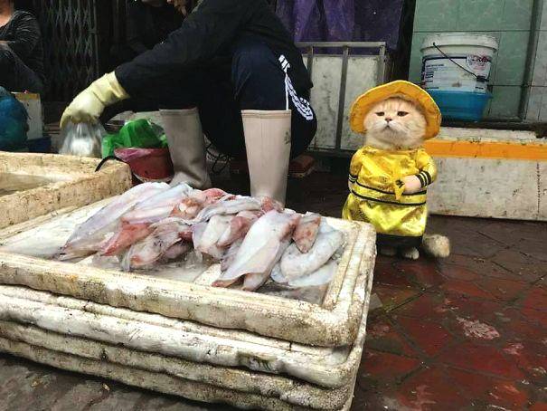 明起山東多地或將迎大雨，局部暴雨