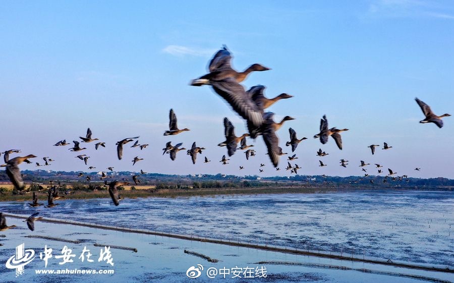 92名齊魯健兒逐夢杭州亞運 &ldquo;00后&rdquo;挑起大梁