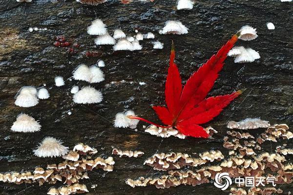 相約大潤發，汰漬與海清邀您新年把愛帶回家