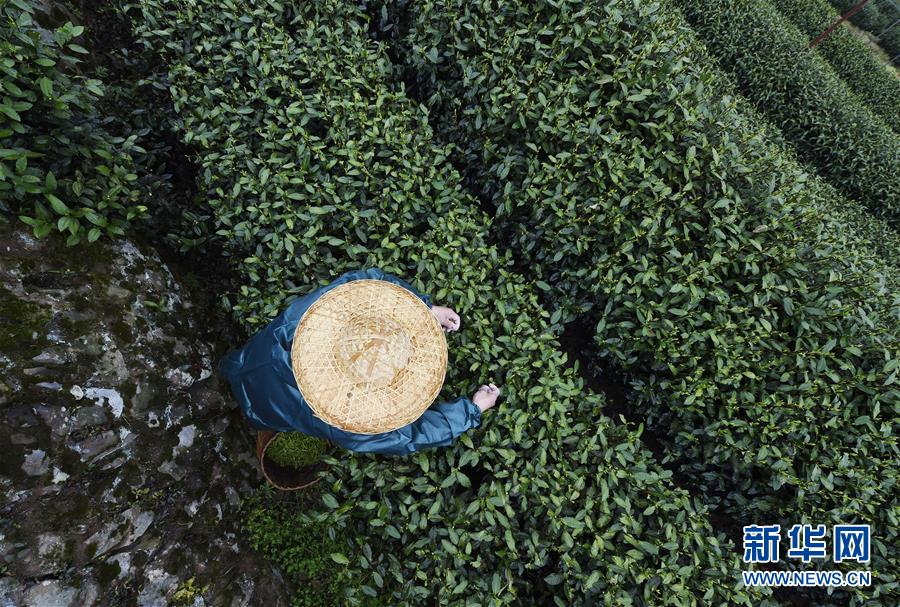 美錦能源董事長做客央視財經：大概五年時間氫能收入占比可以達到50%