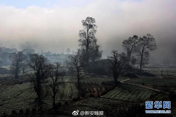 如何發(fā)展利用智慧新能源？