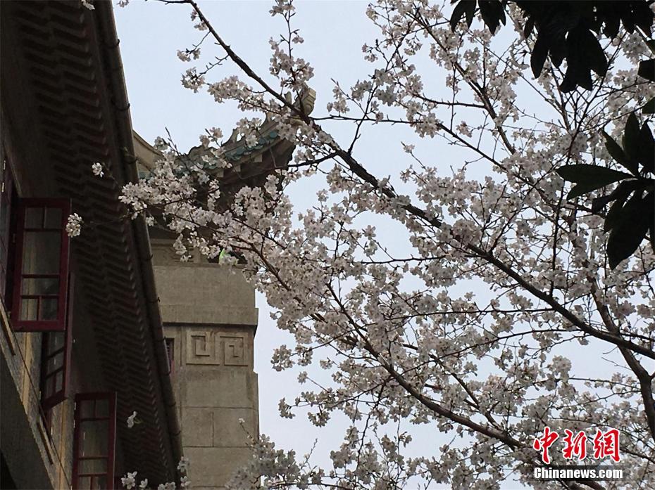 百貨50條，全部是實用的玩意兒（05.03）