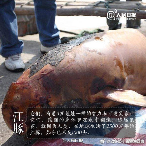 歐陽(yáng)明高：明年新能源車銷量將達(dá)500萬輛