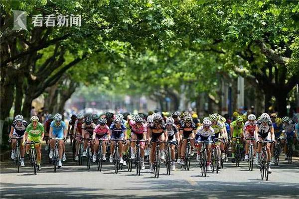 寧夏固原推進96個電網基建項目助力鄉村振興
