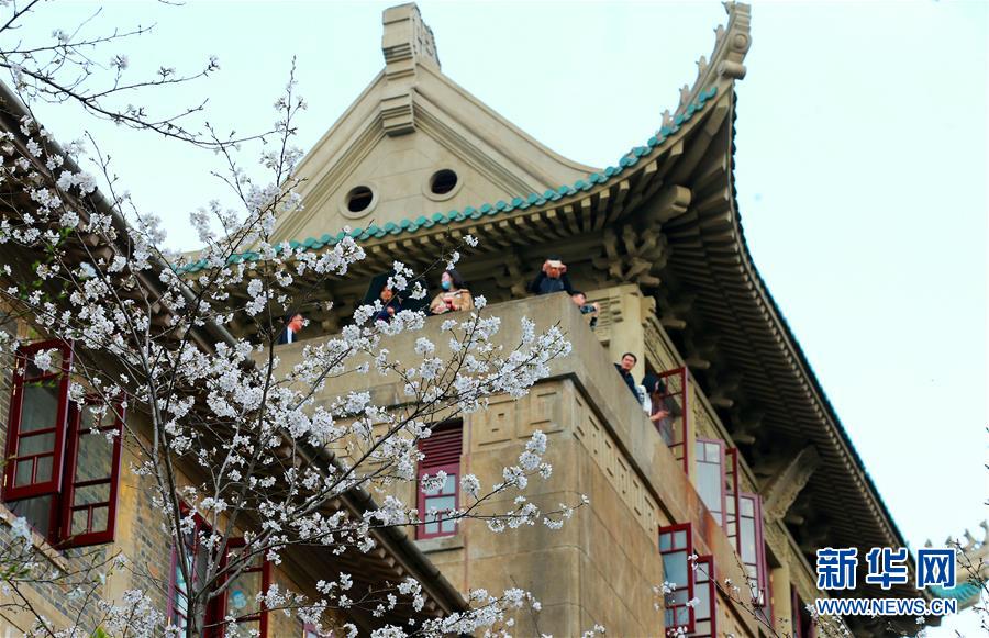 宋慧喬頻繁亮相狂撈金？現身上海捐雕像，半個月上三次熱搜