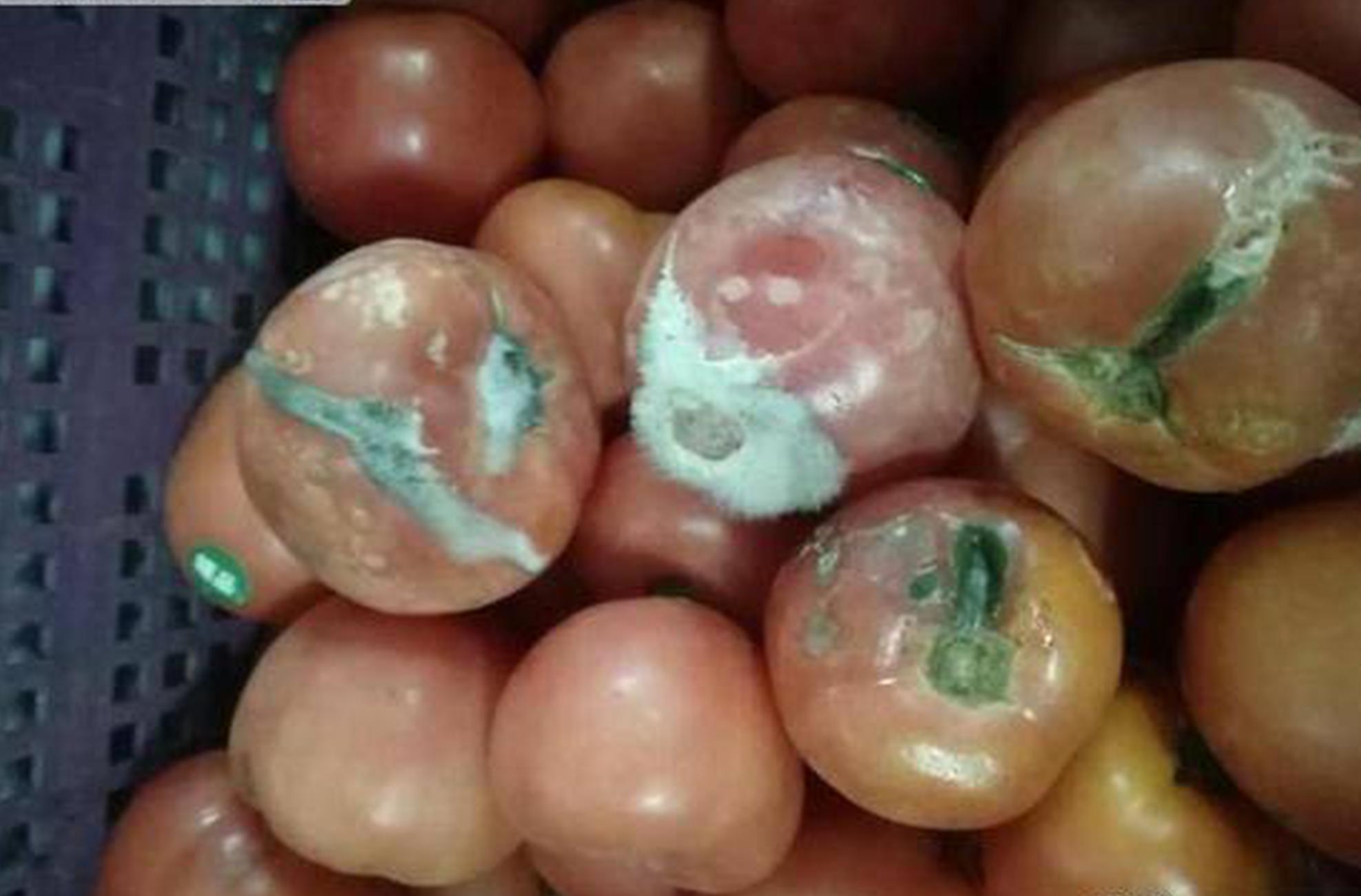 智能家居：是互聯網逆襲還是物聯網換皮？