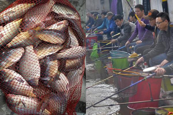 百貨50條，全部是實用的玩意兒（05.14）