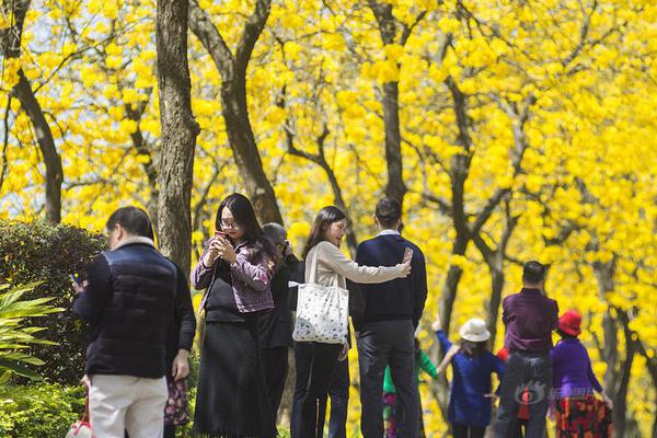 孤魂野鬼七月半：中元節的民間信仰與民俗節慶