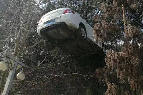 劉裕為何被稱為戰神君主