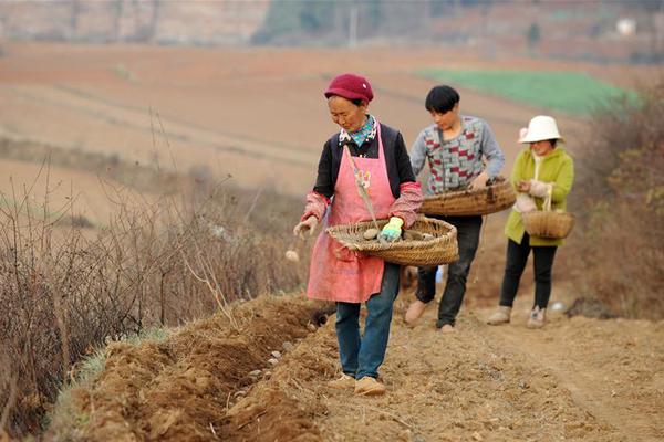 數(shù)字人民幣光伏結(jié)算場景在江蘇蘇州落地