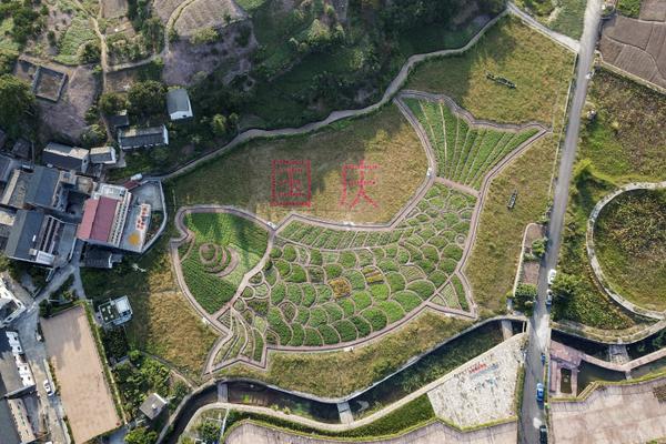 日本土豪曬游艇豪宅 家里全是名表1張床單要12萬