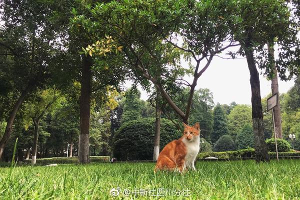 湖南售電市場 | 2022年4月電力市場月度交易時間安排