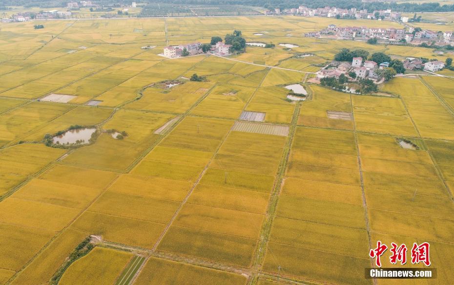中國(guó)制造 | 這座中國(guó)建水電站被印上了非洲紙幣