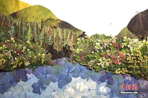 捷氫科技、上海氫雄上榜 上海嘉定產(chǎn)學(xué)研扶持項目公示