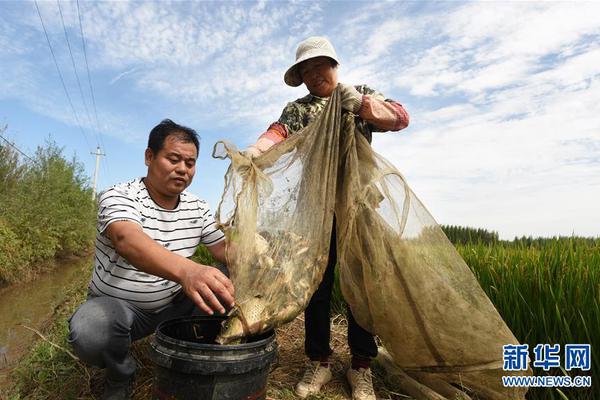 分析！電力市場化交易中的環保電價問題